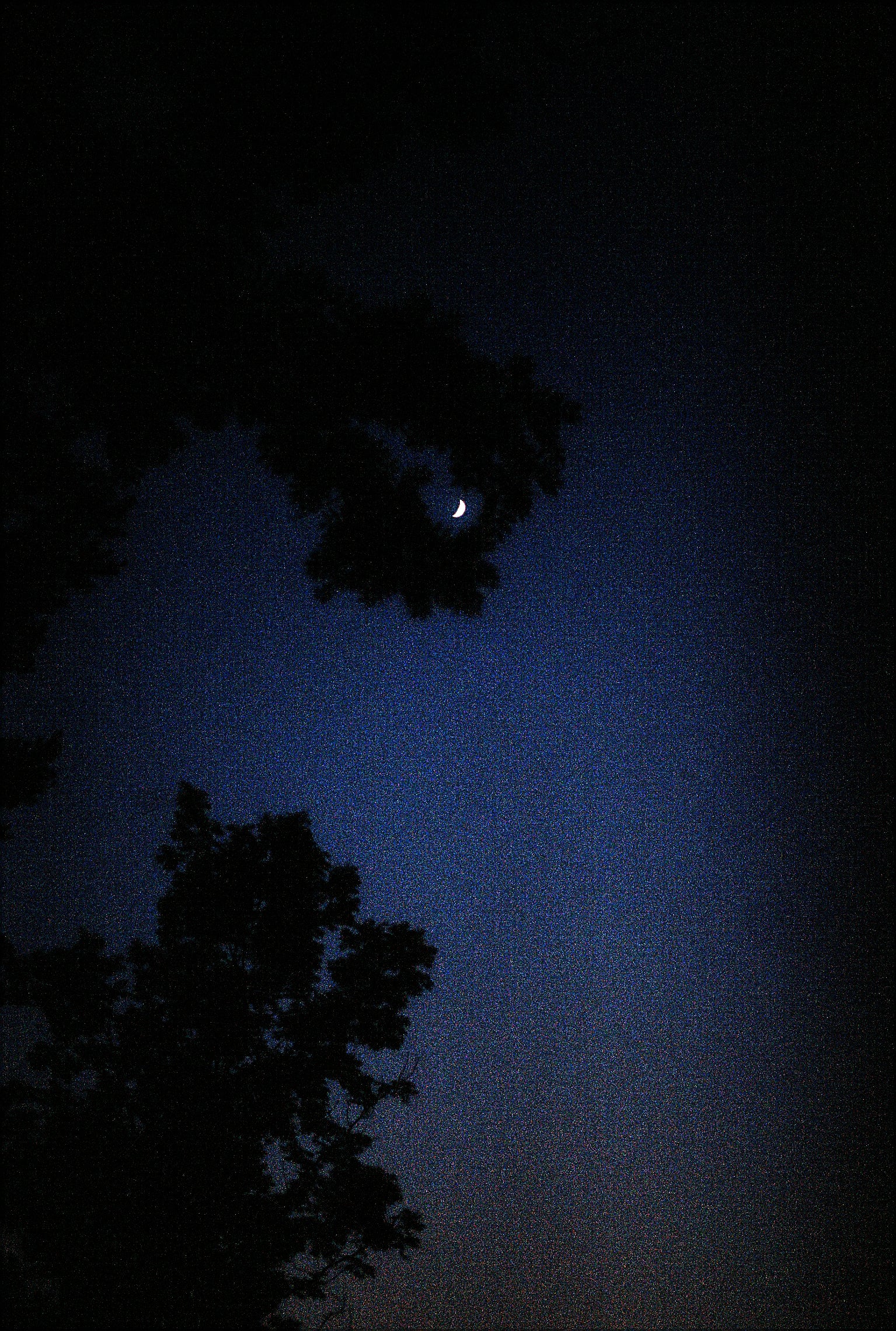 SLEEP