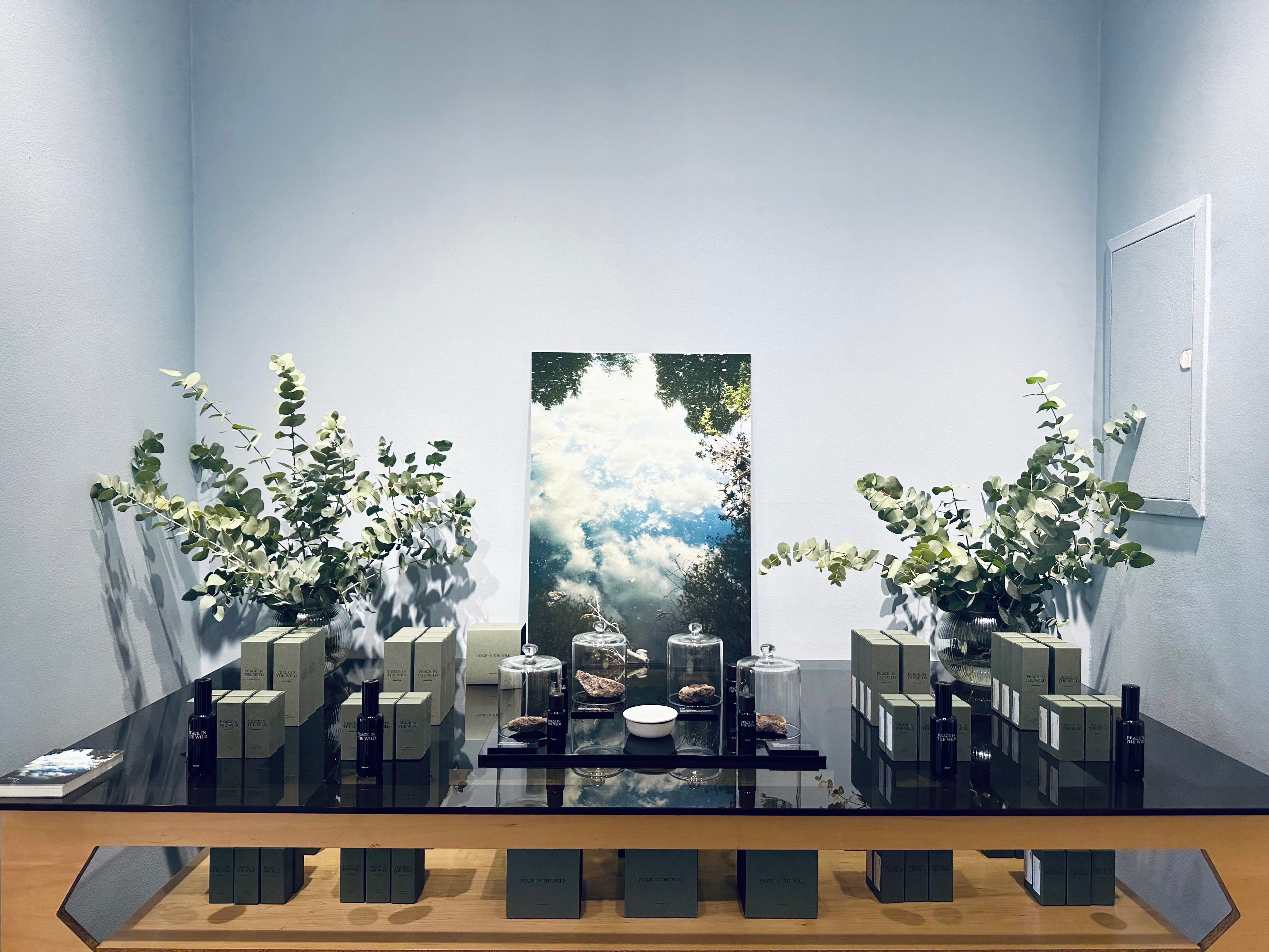 PEACE IN THE WILD Arrives in Berlin